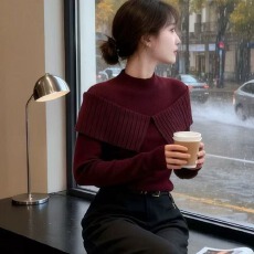 批发轻奢时尚斗篷洋气减龄毛针织衫女2025<b class='q'>冬</b>季新款半高领修身显瘦上衣