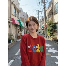 批发毛衣女款2026新款秋<b class='q'>冬</b>高级感刺绣宽松针织衫内搭过年红羊毛