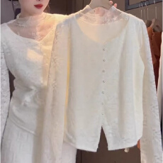 批发报单有货法式半高领网纱拼接刺绣<b class='q'>蕾丝衫</b>秋冬设计感加绒减龄上衣