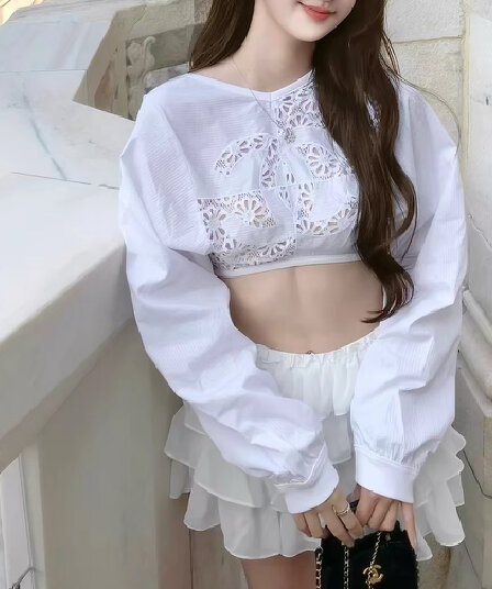 재고 있음 봄 가을 남쪽 기름 화이트 여성 셔츠 디자인 센스 뒤로 홀로우 아웃 슬림해 보이는 새로운 긴팔 티셔츠 쇼트 스타일 맨위