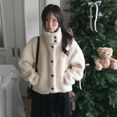 批发已出货  韩国chic秋冬韩系立领学院风短款羊羔毛保暖外套