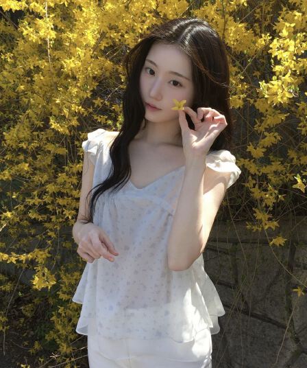 재고 있음 chic 동대문 부드러운 바람 꽃무늬 프릴 작은 날다 소매 쉬폰 셔츠
