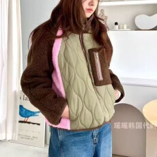 批发已出 韩国东大门秋冬25新款立领拉链摇粒绒拼接棉服外套