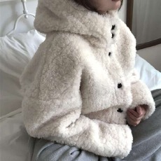 批发羊羔毛外套女秋冬新款2026保暖休闲宽松百搭显瘦连帽短款高级感