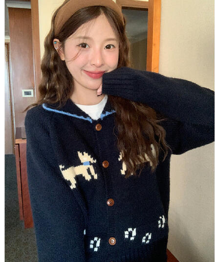 강아지 부드러운 찹쌀 스웨터 오픈 가디건 2026 가을 레트로 루즈핏 슬림해 보이는 다용도 느긋한 바람 맨위 여성