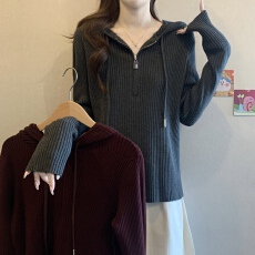 批发<b class='q'>大码</b>连帽长袖t恤女外穿2025休闲新款薄款宽松显瘦软糯正肩小上衣