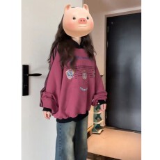 批发纯棉华棉复牛奶丝，原版做法绣花<b class='q'>宽松</b>连帽<b class='q'>卫衣</b>女