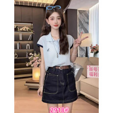 韩系高级感穿搭套装休闲Polo领短袖T恤女复古高腰牛仔短裙两件套