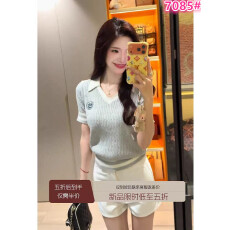 批发学院风灰色<b class='q'>翻领</b>刺绣冰丝针织短袖<b class='q'>T</b><b class='q'>恤</b>女夏季小个子修身polo衫上衣