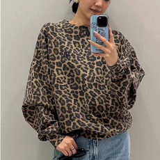 批发95涤 秋冬新款设计圆领豹纹长袖<b class='q'>卫衣</b>男女上衣北欧小众ab字母