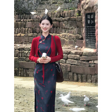 批发素锦新中式蝴蝶印花改良旗袍女俏皮可爱早秋国风立领掐腰<b class='q'>连衣裙</b>