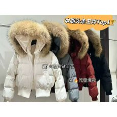 批发新国际90白鸭 羽绒服款高品质羽绒服防冻 防寒厚款冬季保暧时尚