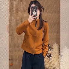 批发春秋长袖卫衣外套<b class='q'>女款</b>春季2026新款时尚洋气立领开衫上衣