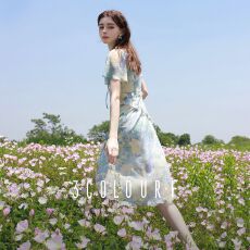 批发仙女裙独美2026夏秋季新款荷叶边雪纺裙碎花<b class='q'>连衣裙</b><b class='q'>文艺</b>简约时尚