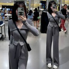 批发盐系时尚休闲运动套装女秋<b class='q'>韩版</b>气质显瘦上衣阔腿裤两件套韩国外贸