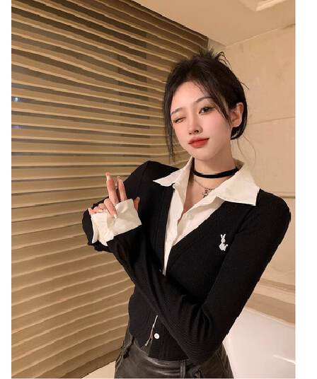 원본 원단 POLO 칼라 자수 긴팔 여성 가을 디자인 센스 셔츠 패치워크 쇼트 스타일 페이크 레이어드 맨위