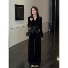 批发欧货时尚气质秋冬穿搭<b class='q'>套装</b><b class='q'>丝绒</b>上衣高腰阔腿裤2025新款显瘦两件套