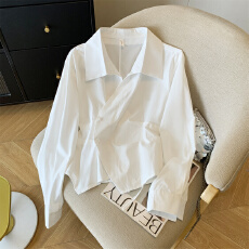 批发实拍新设计感日常收腰衬衫26秋季长袖修身<b class='q'>通勤</b>蓝色衬衫POLO领女