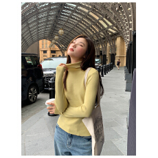 批发高领<b class='q'>修身</b>针织打底上衣女春季2025年新款纯色显瘦针织衫