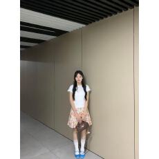 批发高质量纯棉220克40支爽滑食毛92棉 8氨纶修身收腰拉领<b class='q'>短袖</b><b class='q'>T</b><b class='q'>恤</b>女