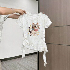 批发原版做法纯棉220克40支奥代尔食毛+手感修身收腰褶皱<b class='q'>不规则</b>T恤女