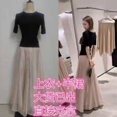 批发2026夏季新款雾色巴黎 细闪珠光 温柔垂感大<b class='q'>裙摆</b>半身纱裙 <b class='q'>上衣</b>