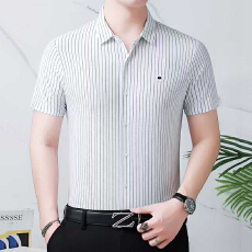 批发冰丝<b class='q'>男士</b>短袖<b class='q'>衬衫</b>男夏季新款薄款垂感高档<b class='q'>衬衣</b>中年爸爸装无痕寸衫