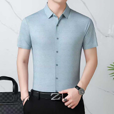 批发冰丝<b class='q'>男士</b>短袖<b class='q'>衬衫</b>男夏季新款薄款垂感高档<b class='q'>衬衣</b>中年爸爸装无痕寸衫