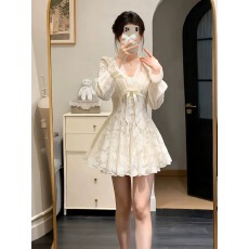 批发千金感花边蕾丝收腰<b class='q'>连衣裙</b>女秋冬巨好看内搭气质公主<b class='q'>蓬蓬裙</b>