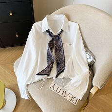 批发实拍 2026春季新款韩版宽松领带短款长袖<b class='q'>衬衫女</b>设计感通勤简约