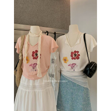 批发彩色<b class='q'>花朵</b>V领雪花棉短袖2026夏季新款宽松舒适设计休闲<b class='q'>T</b><b class='q'>恤</b>女