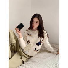 批发童趣小狗毛巾绣<b class='q'>针织</b><b class='q'>开衫</b>女秋冬复古简约松弛感韩系上衣
