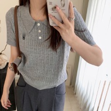 批发Polo领针织衫女夏季小马刺绣修身短袖T恤爆款<b class='q'>打底衫</b>复古麻花上衣