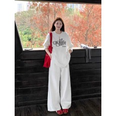 批发21支纯棉-210克 秋装<b class='q'>长袖</b><b class='q'>T</b><b class='q'>恤</b>女宽松上衣印花