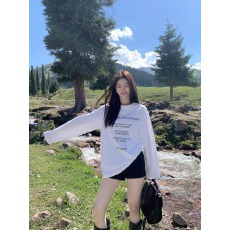 批发官图 21支纯棉-210克100%棉 春装<b class='q'>长袖</b><b class='q'>T</b><b class='q'>恤</b><b class='q'>女</b>宽松上衣印花