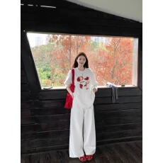 批发官图 21支纯棉-210克 秋装长袖T恤女宽松<b class='q'>上衣</b>印花