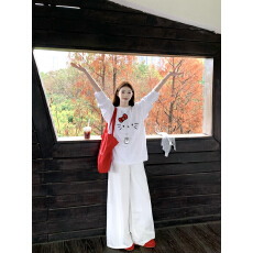 批发官图 21支纯棉-210克 <b class='q'>秋</b>装长袖T恤女宽松上衣印花