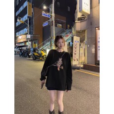 批发官图 21支纯棉-210克 <b class='q'>秋</b>装长袖T恤女宽松上衣印花