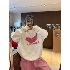 批发薄款/加绒 秋冬装圆领卫衣女印花跨境
