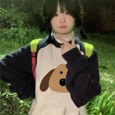 批发韩国外贸  华棉复合-薄款310g加绒400g 秋冬装插肩袖卫衣女撞色