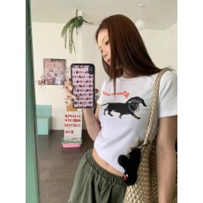 批发40支纯棉-220克 92%棉8%氨纶 <b class='q'>韩国</b>东大门正肩短袖T恤女印花上衣潮