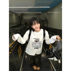 批发官图 21支<b class='q'>纯棉</b>-210克 秋装长袖<b class='q'>T</b><b class='q'>恤</b>女宽松上衣印花