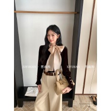 批发法式气质温柔风蝴蝶结丝绒<b class='q'>衬衫</b>女<b class='q'>长袖</b>打底衫百搭欧货时髦洋气上衣