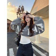 批发美式辣妹短款字母提花长袖毛衣女冬季宽松小众设计感套头针织上衣