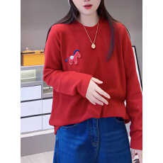 批发小马刺绣红色双面绒长袖T恤女2025冬新款休闲百搭显瘦保暖打底衫