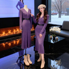 批发<b class='q'>韩国</b>御姐风独特超好看紫色V领收腰修身包臀裙时尚气质针织<b class='q'>连衣裙</b>