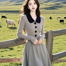 批发韩国冬天冷淡系独特别致气质小香风高级感大衣内搭针织毛衣<b class='q'>连衣裙</b>
