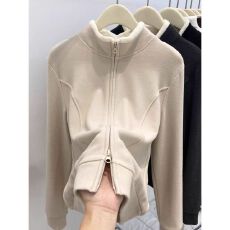 批发罗纹德绒 <b class='q'>秋</b>冬加厚保暖立领卫衣