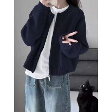 批发<b class='q'>北极</b><b class='q'>绒</b> 韩版时尚百搭针织开衫秋季宽松显瘦毛衣外套