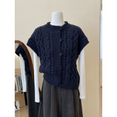 批发实拍~藏蓝色麻花纹排扣圆领无袖马甲上衣冬季新款<b class='q'>通勤</b>日常百搭女